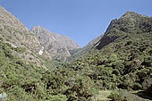 The Inca Trail towards the Dead Woman pass